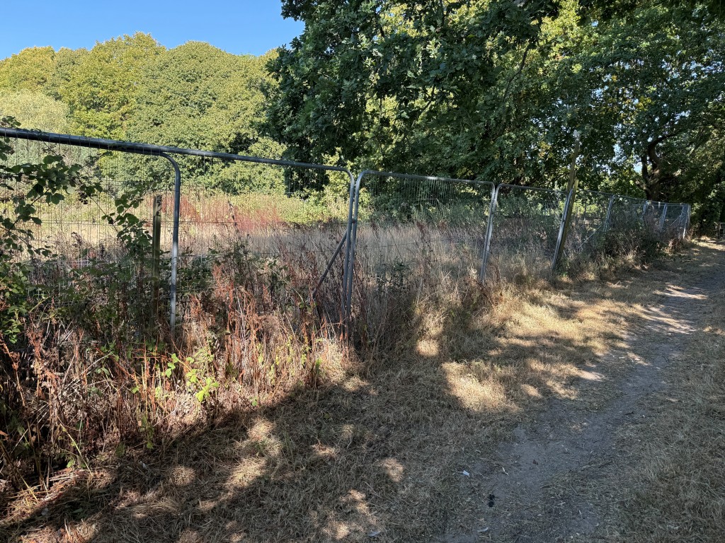 Lot: 17 - BUILDING PLOT IN SOUGHT AFTER EAST SUSSEX VILLAGE - Buttsfield Lane boundary